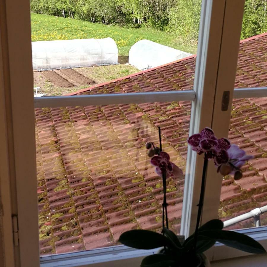 Sjugare Gard Bed & Breakfast Лександ Экстерьер фото